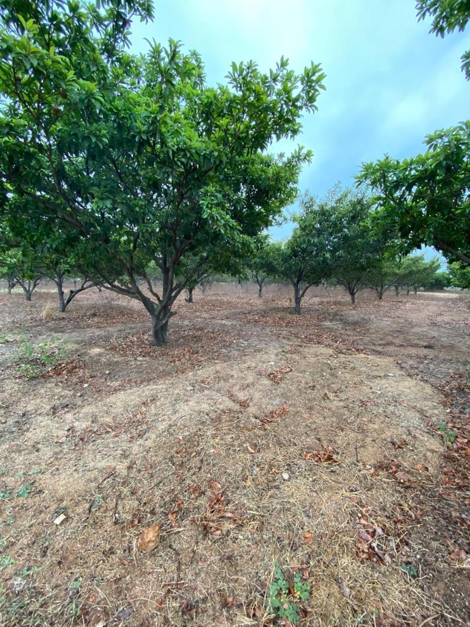 Pn Farm Villa Hyderabad Exterior photo